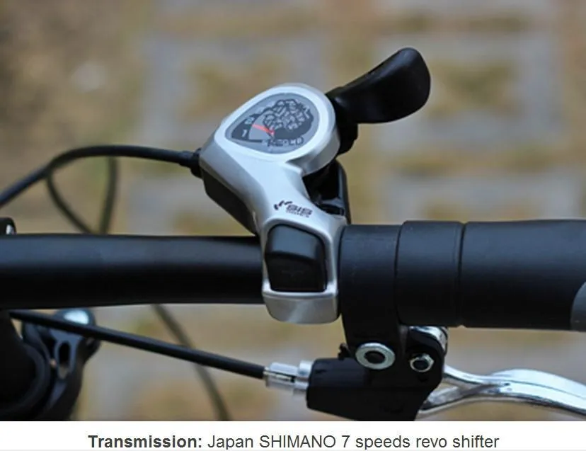 20" Foldable Bike