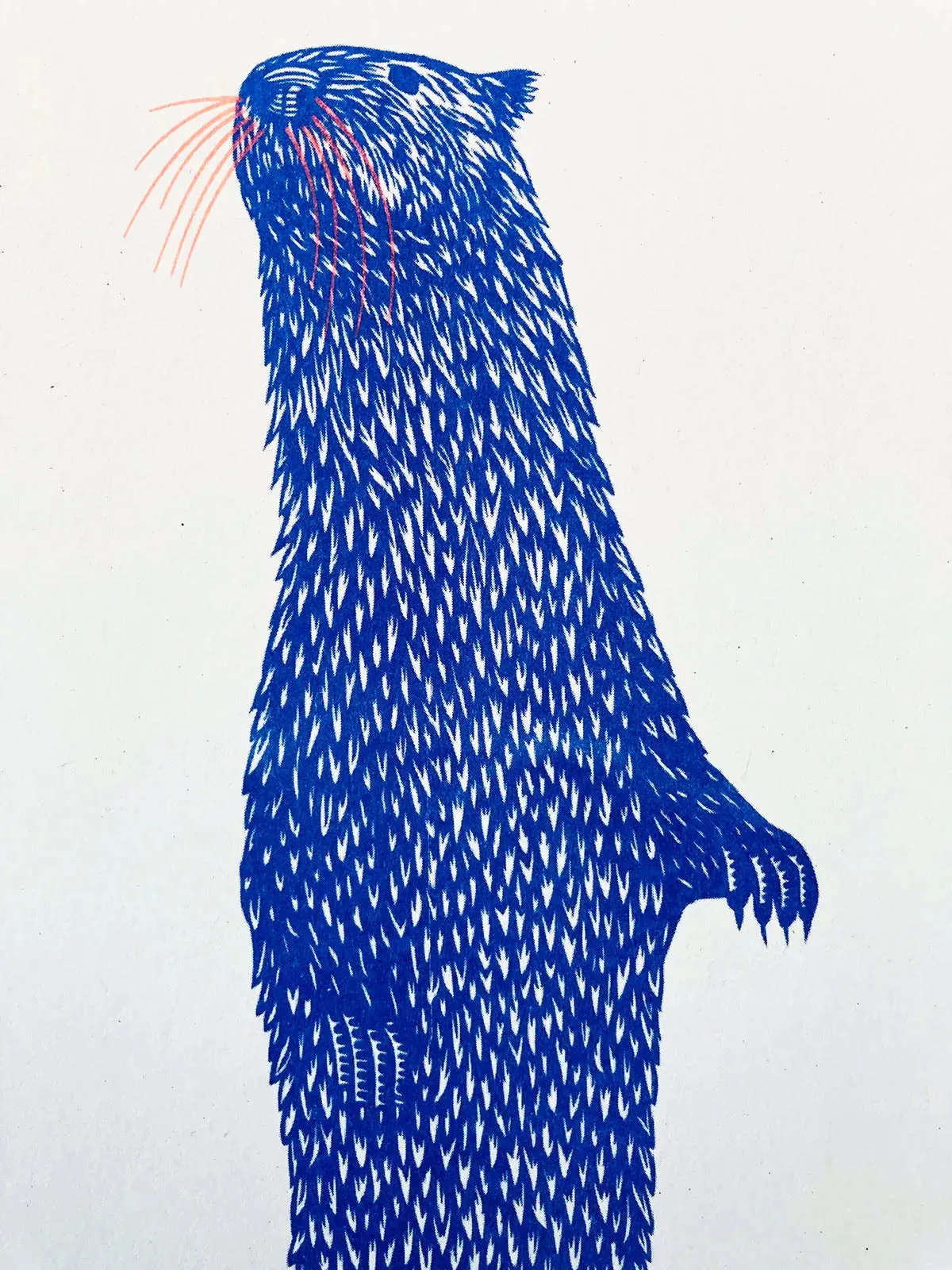 Long Otter: Artistic Riso Print