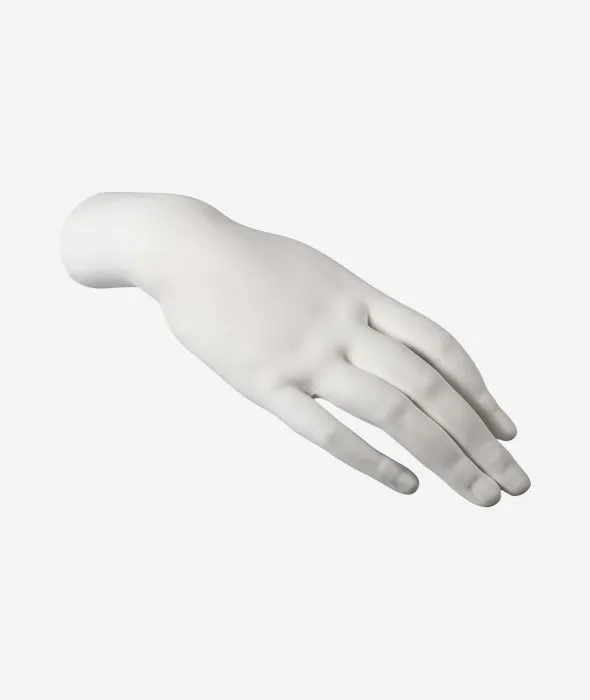 Memorabilia Mvsevm Female Hand