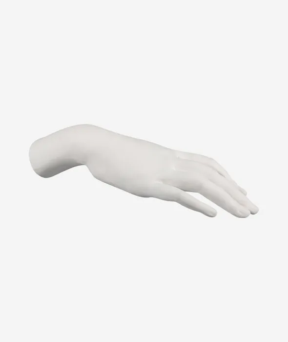 Memorabilia Mvsevm Female Hand