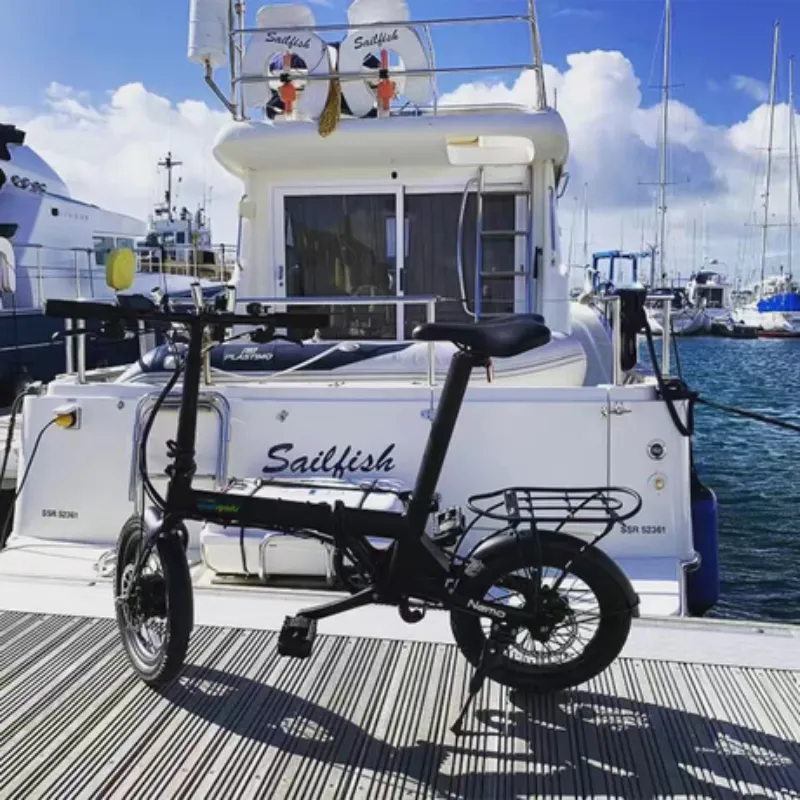 Qualisports NEMO Foldable Electric Bike, 36V/7Ah, 250W