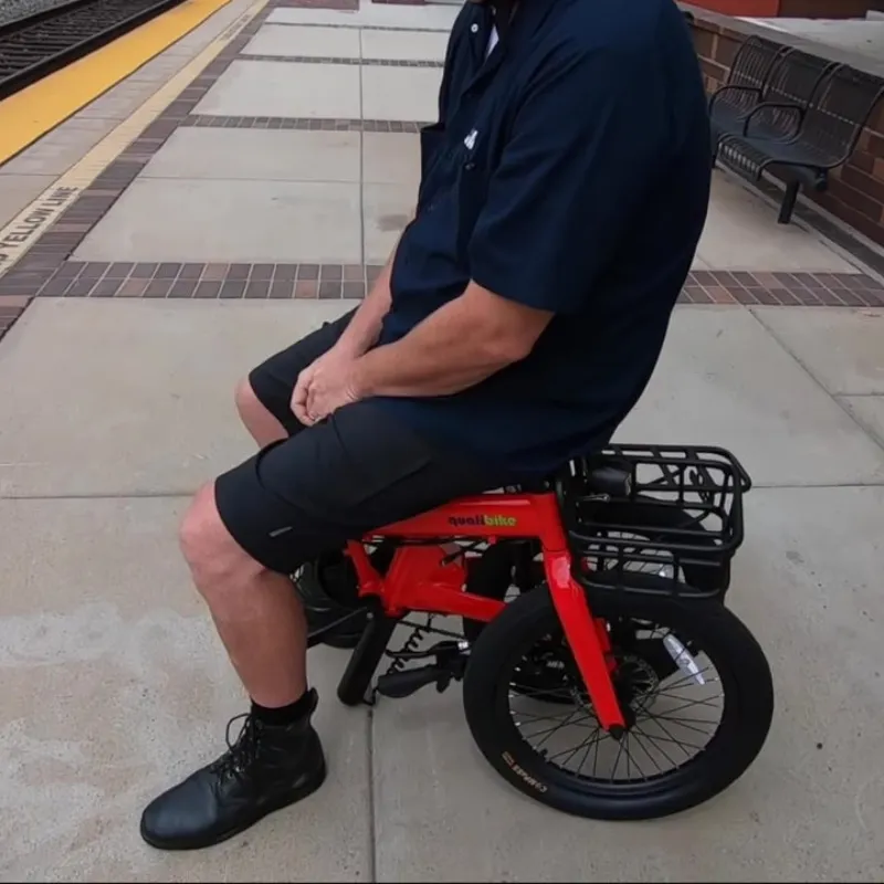 Qualisports VOLADOR Foldable Electric Bike, 36V/7Ah, 350W