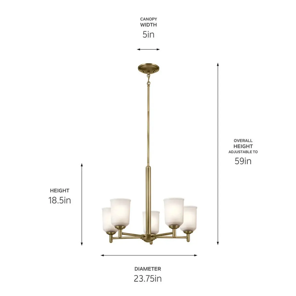 Shailene 24" 5-Light Chandelier with Clear Satin Etched Glass, Natural Brass Finish