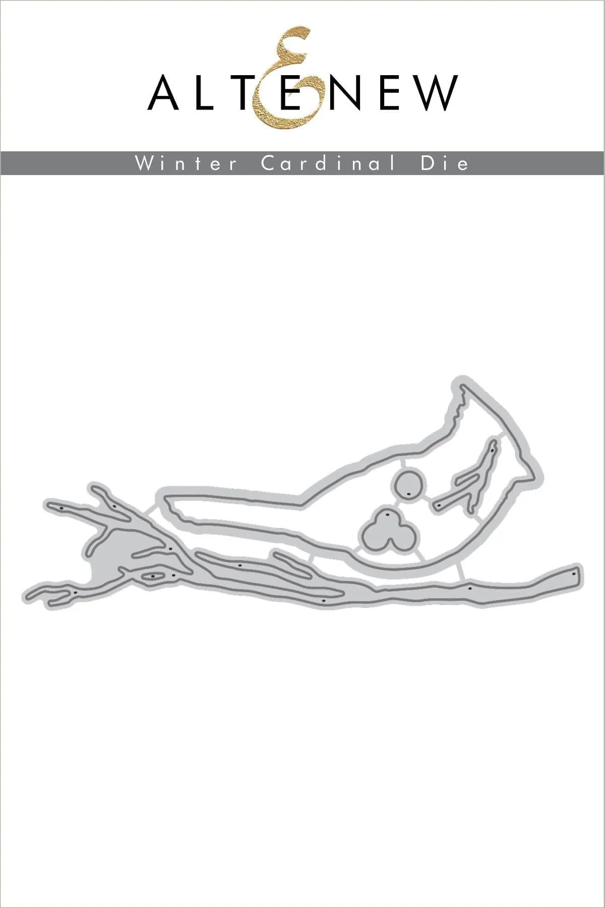 Winter Cardinal