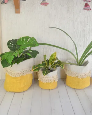 Yellow Pepper Planter