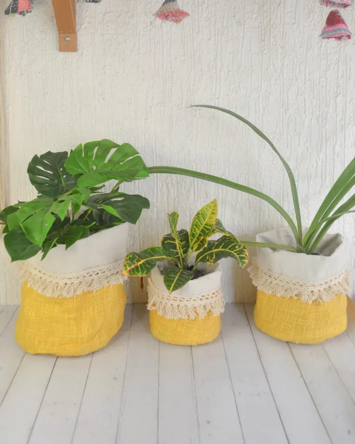 Yellow Pepper Planter